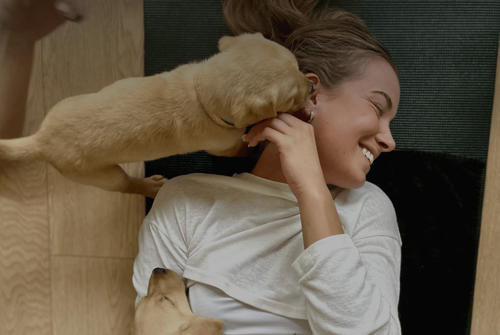 Downward Dog With Real Puppies